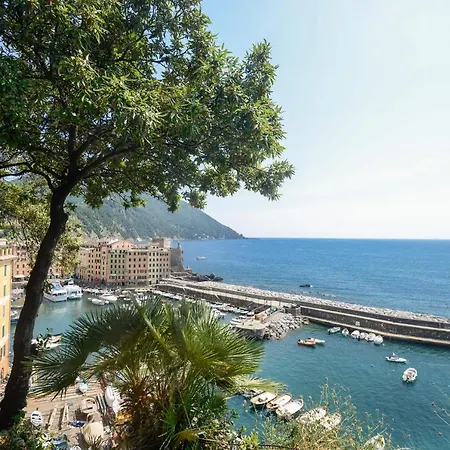 Casaviva - Trilocale Sul Mare Con Terrazza A Apartment Camogli