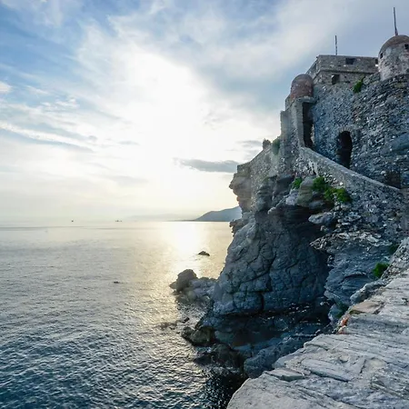 Casaviva - Trilocale Sul Mare Con Terrazza A Camogli
